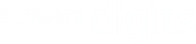 Schwarz Digits